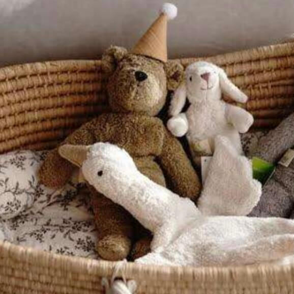 Senger Naturwelt Organic Cotton Cuddly Goose with Heat/Cool Pack – White