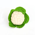 Tara Treasures Felt Cauliflower